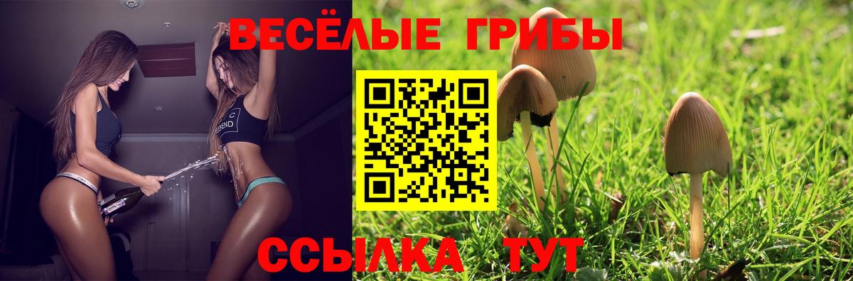Галлюциногенные грибы Magic Shrooms Ипатово